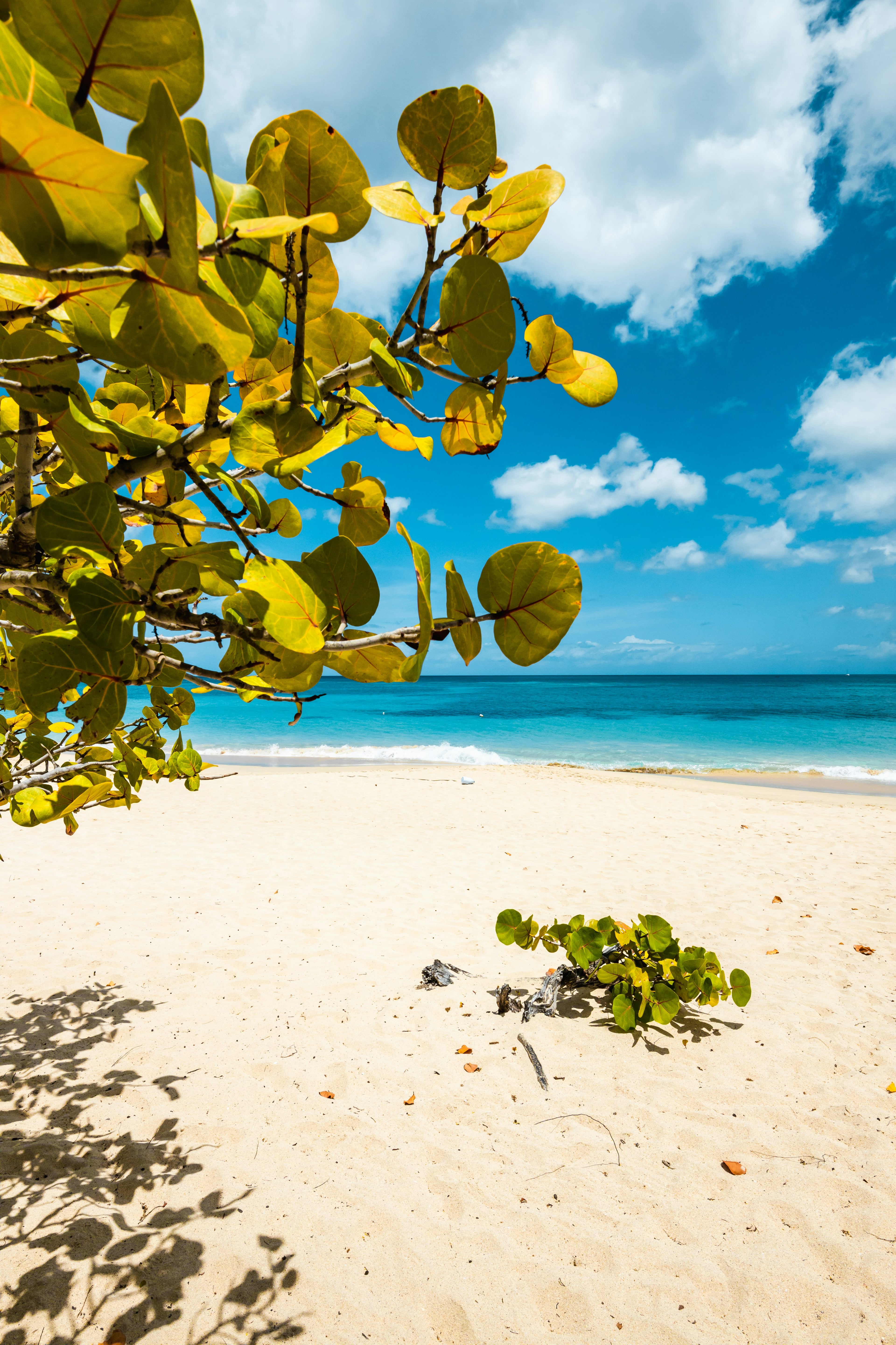 Grenada wedding venue